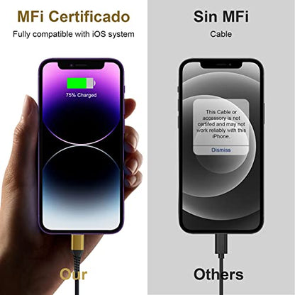 [ Apple Certified 2pack ] iPhone Charger,Lightning Cable, Fast Charging Cables for Apple iPhone 12/11/11Pro/11Max/ X/XS/XR/XS Max/8/7/6/5S/SE/iPad Mini Air (10ft, Gold) - color: Gold, size: 10foot
