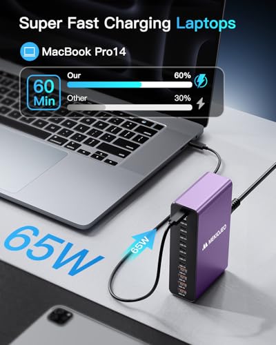 MEKIOJEO 12 Ports Aluminum Alloy 380W Charging Station USB C Charger Block - color: Purple