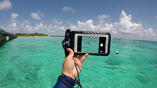 Freegrace Waterproof Pouches with Waist Strap / Pouch Case Bundle Set- Keep Your Phone & Valuables Dry and Safe - Waterproof Dry Bags for Boating Swimming Snorkeling Kayaking Beach Water Parks Pool - color: Phone Case (2 Pack)
