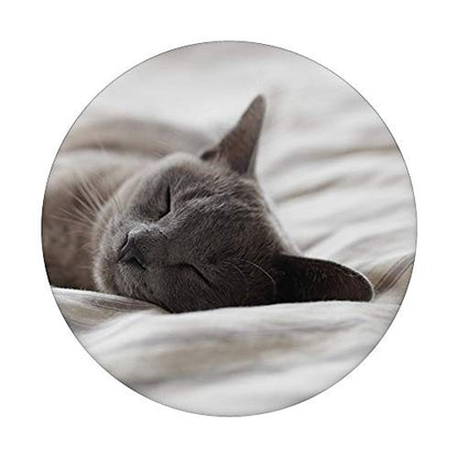Sleeping Gray Kitty Cat Animal Grey PopSockets PopGrip: Swappable Grip for Phones & Tablets