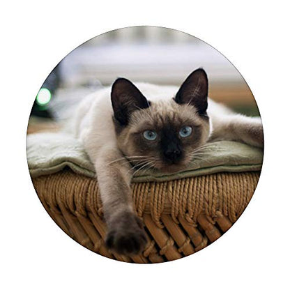 Siamese Cat Design Cat Lovers Cute Kitten PopSockets PopGrip: Swappable Grip for Phones & Tablets