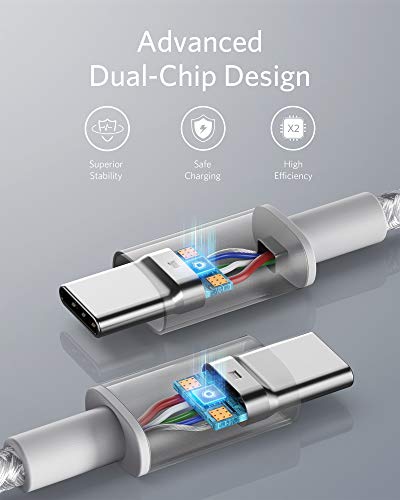 Anker USB C to USB C Cable, 100W Fast Charging Cable(1-Pack, 10 ft, Silver) - color: Sliver, size: 10ft