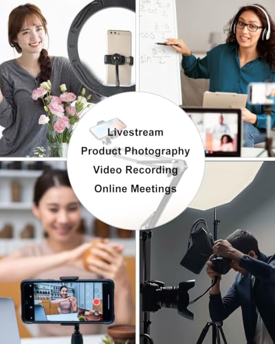 Overhead Phone Mount Fit for iPhone DSLR Webcam with Desk Clamp