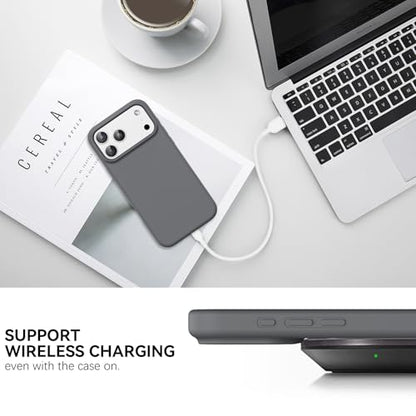 GUAGUA Compatible with iPhone 17 Pro Max Case 6.9 Inch Liquid Silicone Soft Slim Thin Microfiber Lining Cushion Texture Cover Shockproof Protective Phone Case for iPhone 17 Pro Max, Natural Titanium - color: Natural Titanium, size: iPhone 17 Pro Max