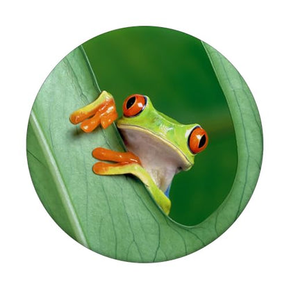 Baby Frog Green Exotic Tropical Toad Anuran Idea Gift PopSockets Adhesive PopGrip - style: Adhesive PopGrip