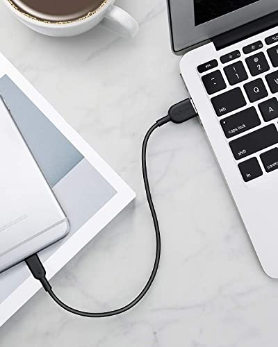 Anker Powerline II Lightning Cable, MFi-Certified (1FT,Black) - color: Black, size: 1ft