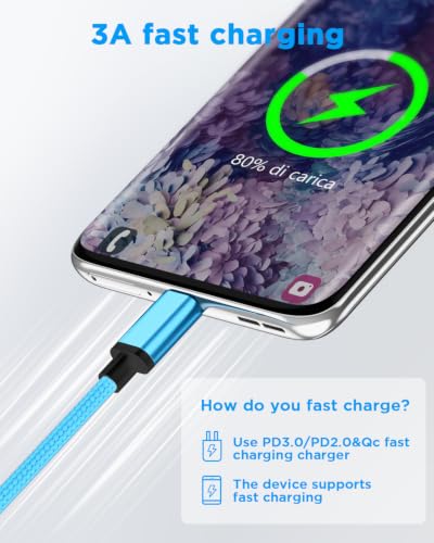 Aioneus USB A to USB C Cable 10 FT 2Pack 3A Fast Charging USBC Cord Braided - color: Blue