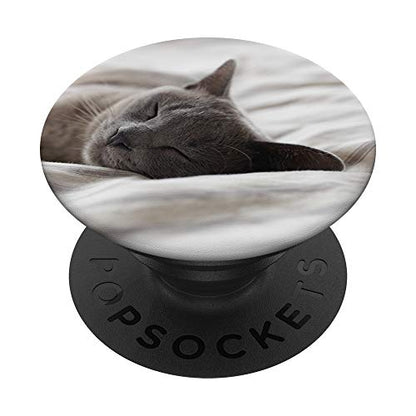 Sleeping Gray Kitty Cat Animal Grey PopSockets PopGrip: Swappable Grip for Phones & Tablets