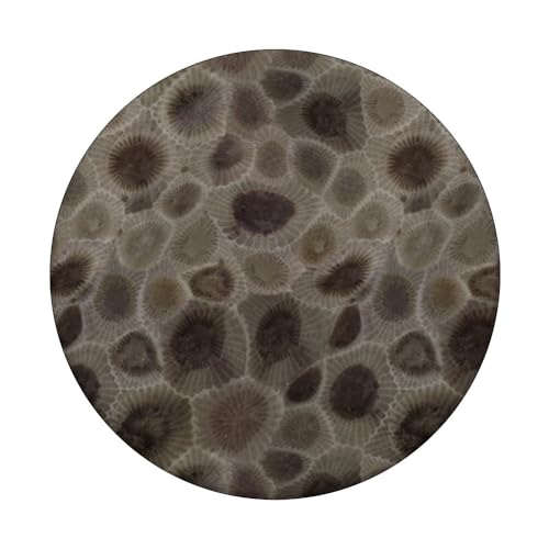 Petoskey Stone- Michigan PopSockets Adhesive PopGrip - style: Adhesive PopGrip