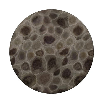 Petoskey Stone- Michigan PopSockets Adhesive PopGrip - style: Adhesive PopGrip