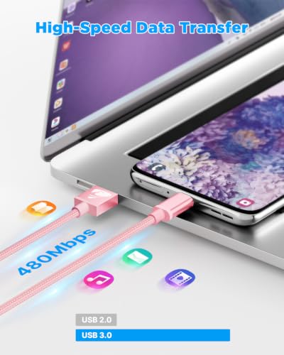 Aioneus USB A to USB C Cable 10 FT 2Pack 3A Fast Charging USBC Cord Braided - color: Pink