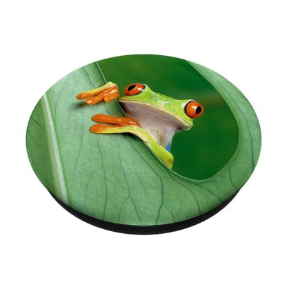 Baby Frog Green Exotic Tropical Toad Anuran Idea Gift PopSockets Adhesive PopGrip - style: Adhesive PopGrip