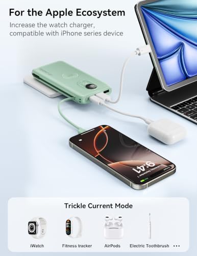 Portable Charger 10000mAh 20W, Wall Plug, 2 Cables, iWatch Charging - color: Natural Green