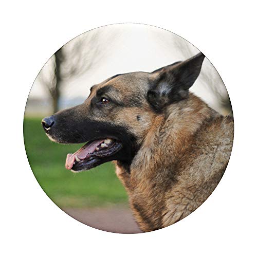 German Shepherd Dog PopSockets PopGrip: Swappable Grip for Phones & Tablets