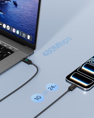 Hichain USB C to USB C Fast Charging Cable with LED Display, 4FT 60W - color: Black, size: 4FT