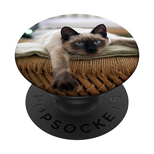 Siamese Cat Design Cat Lovers Cute Kitten PopSockets PopGrip: Swappable Grip for Phones & Tablets