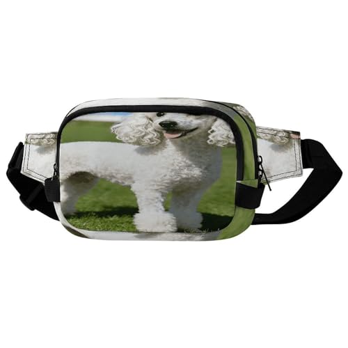 Poodle Dog Fanny Packs for Women Men Double Layer Fashion Waist Pack Adjustable Belt Bag with Pockets Small Crossbody Bags for Running Hiking Workout Travel Daily Use