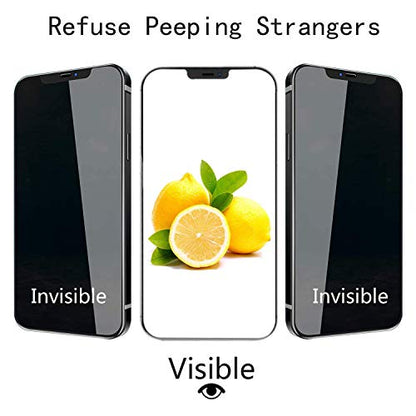 PEHAEL for iPhone 12 Pro Max Privacy Screen Protector+Camera Lens Protector