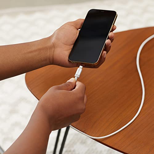 Amazon Basics USB-A to Lightning Charger Cable, Nylon Braided Cord, Apple MFi Certified for iPhone 14 13 12 11 X Xs Pro, Pro Max, Plus, iPad, High Speed Data Sync, 3 Foot, Silver - size: 3 ft
