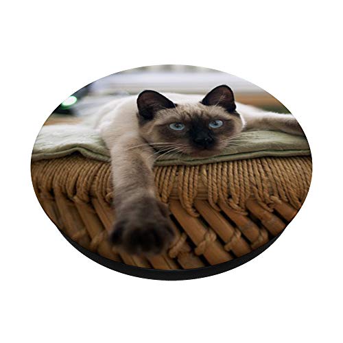 Siamese Cat Design Cat Lovers Cute Kitten PopSockets PopGrip: Swappable Grip for Phones & Tablets