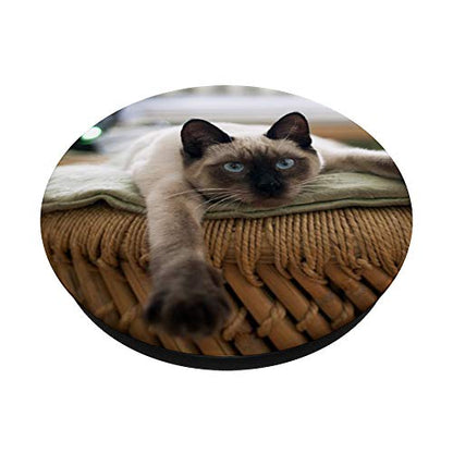 Siamese Cat Design Cat Lovers Cute Kitten PopSockets PopGrip: Swappable Grip for Phones & Tablets