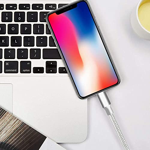 USB to Lightning Cable, 5 Pack iPhone Charger Fast Charging Cord (Silver) - color: Silver, style: USB-A to L