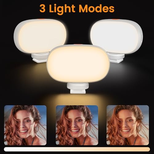 Mini Phone Light Clip, Type-C Charging, Rechargeable Selfie Light & Adjustable Brightness for iPhone, Smartphones, Camera, Laptops, Perfect for Make up, TikTok, Live Streaming, White