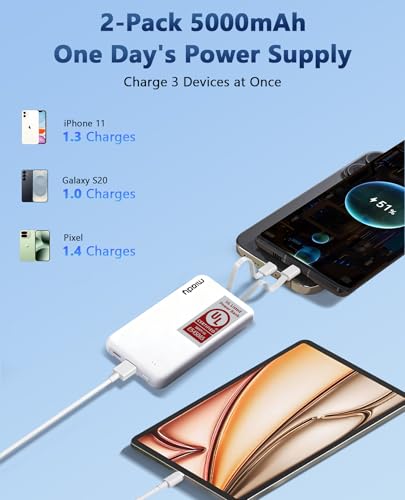 Miady 4-Pack Bulk 5000mAh + 20000mAh Portable Chargers