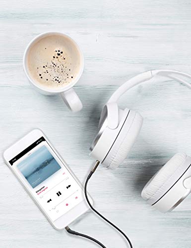 Mr Rex 2.5mm to 3.5mm Cable Compatible with Bose 700 QuietComfort QC45 QC35II QC35 QC25Noise Cancelling Headsets, JBL E45BT E55BT Wireless Bluetooth Headphones Replacement Cord Aux Wire (1-Pack, 10FT) - size: 1-Pack, 10FT