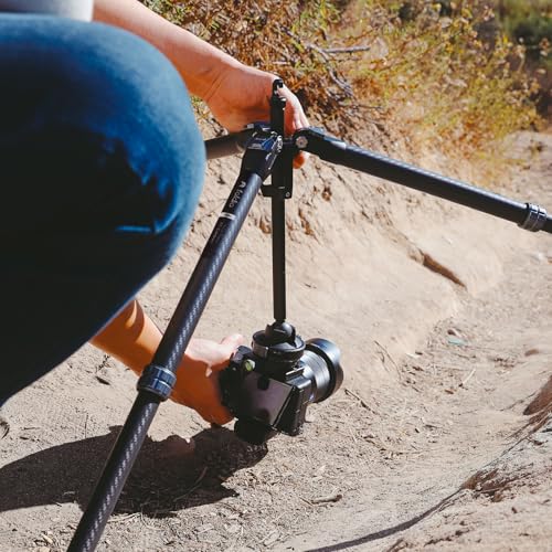 Heavy Duty Lightweight Tripods by foldio foldable studio, Portable Cell Phone & Camera Tripods with Phone Holder, for iPhone, Android, Tripod for Photo Video Shooting (Travel Tripod - Carbon) - style: Travel Tripod - TT Carbon