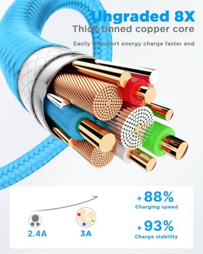 Aioneus USB A to USB C Cable 10 FT 2Pack 3A Fast Charging USBC Cord Braided - color: Blue