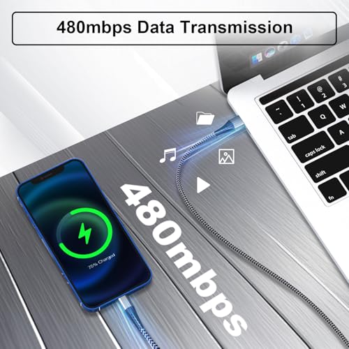 Phone Charger Cord 2Pack 10FT USB Lighting Cable Nylon Braided Phone Cords Fast Charging 10 ft Compatible with Phone 13 12 11 Pro Max XR XS X 8 7 6 Plus SE Pad and More
