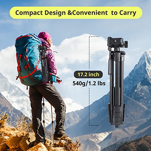 Sensyne 64" Camera Tripod Stand for iPhone & iPad, Phone Holder with Remote - size: 64-inch