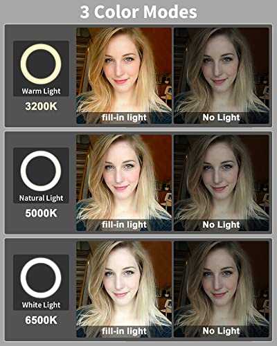 Ring Light with Stand and Phone Holder, USB 10" Ring Light for Desk, Overhead Camera Mount with Ringlight, Desk Lamp with Clamp for Photography/Makeup/Live StreamVideo/YouTube