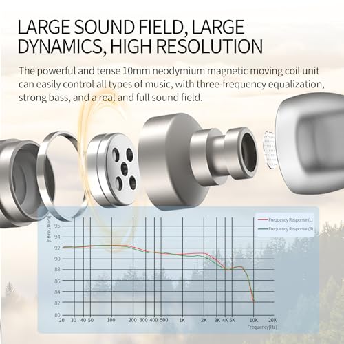 SoundMAGIC E80D Digital USB C Headphones - Type C Wired Earbuds with Microphone HiFi Stereo Earphones Powerful Bass Noise Isolating Compatible with Android Device, Gunmetal