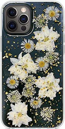 Abbery Designed for iPhone 12 Pro Max Case Cute Pressed Flower Glitter Sparkle Clear with Design Soft Silicone TPU Rubber Dried Real Daisy Floral Aesthetic Cover for Women Girls (Gold Daisy) - color: Gold Daisy, size: for iPhone 12 Pro Max