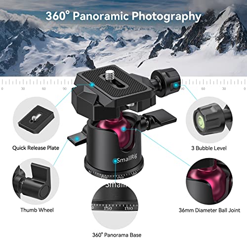 SmallRig Mini Tabletop Tripod with QR Plate for Arca-Type - BUT2664 - style: 1