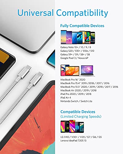 Anker USB C to USB C Cable, 100W Fast Charging Cable(1-Pack, 10 ft, Silver) - color: Sliver, size: 10ft