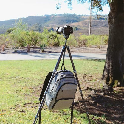 Heavy Duty Lightweight Tripods by foldio foldable studio, Portable Cell Phone & Camera Tripods with Phone Holder, for iPhone, Android, Tripod for Photo Video Shooting (Travel Tripod - Carbon) - style: Travel Tripod - TT Carbon