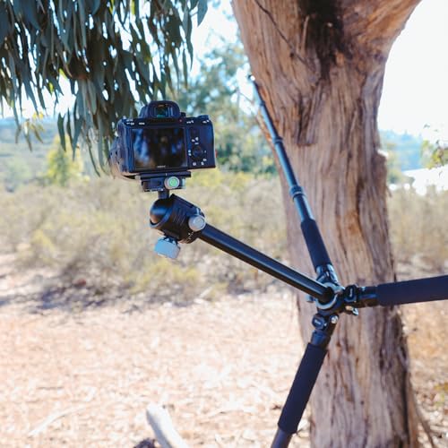 Heavy Duty Lightweight Tripods by foldio foldable studio, Portable Cell Phone & Camera Tripods with Phone Holder, for iPhone, Android, Tripod for Photo Video Shooting (Heavy Duty Tripod - Carbon) - style: Heavy Duty Tripod - HD Carbon