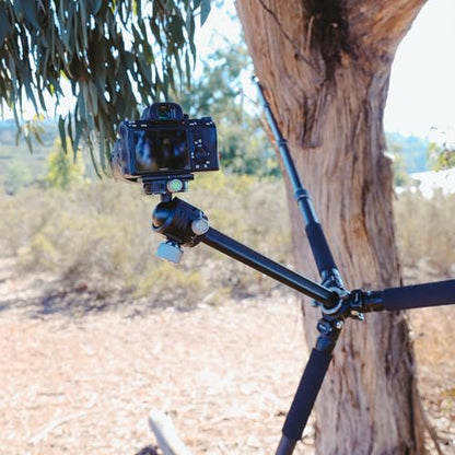 Heavy Duty Lightweight Tripods by foldio foldable studio, Portable Cell Phone & Camera Tripods with Phone Holder, for iPhone, Android, Tripod for Photo Video Shooting (Heavy Duty Tripod - Carbon) - style: Heavy Duty Tripod - HD Carbon