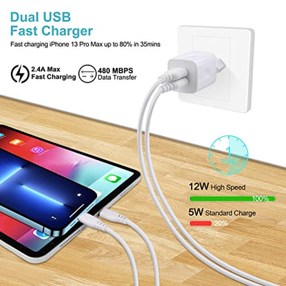 European Wall Charger, Vifigen 2-Pack USB 2.1AMP Universal Europe Charger Block Dual Port Plug Compatible for iPhone 17 16 15 14 13 12 11 Pro Max XS XR X SE 8 7 6 Plus,Samsung S25 S24 A17,Note,LG,Moto - color: White