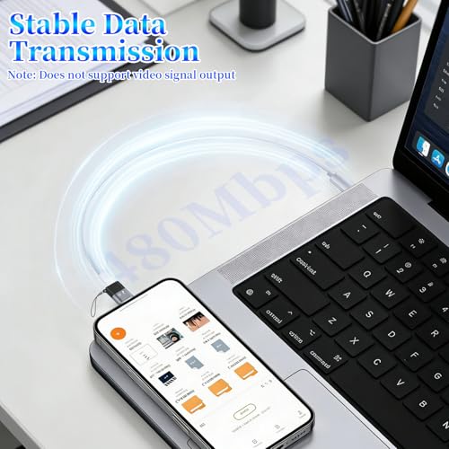 1 Pack USB C to Lighting OTG Adapter for Connecting DJI Mic Mini & DJI Mic Series Receiver to iPhone 14 13 12 11 Mac Wireless Microphone Receiver (1)