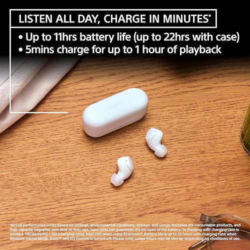 Sony WF-C510 Truly Wireless Bluetooth Earbud Headphones, Black - color: Black