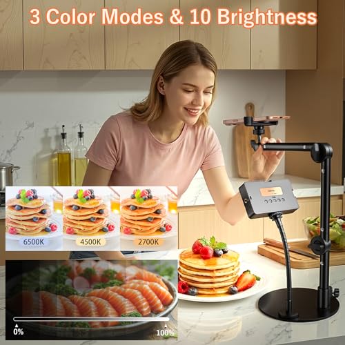 Overhead Phone Mount with Light, 360° Adjustable Height & Position