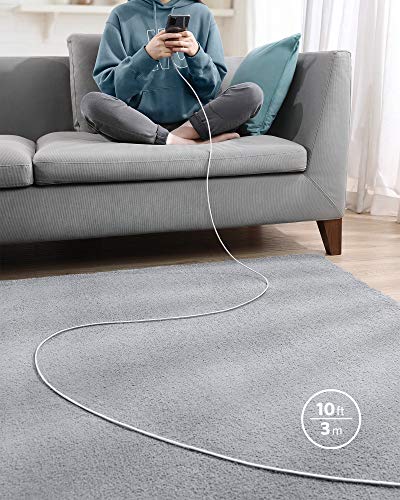 Anker USB C to USB C Cable, 100W Fast Charging Cable(1-Pack, 10 ft, Silver) - color: Sliver, size: 10ft