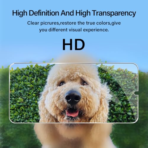 BIGFACE Galaxy A26 Tempered Glass Screen Protector + Camera Lens Protector [2 + 2 Pack][Case Friendly][Anti-Scratch][Ultrasonic Fingerprint Unlock] HD Protective Film for Samsung Galaxy A26 - size: Galaxy A26 (6.7")