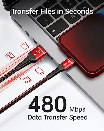 iPhone Charging Cable [Apple MFi Certified] USB Lightning Cable 10FT, 3Pack - color: Red, size: 10FT, style: USB A to Lightning