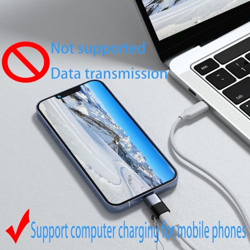 for DJI Mic Mini USB-C Adapter,OTG Converter with Charging Function,Not for DJI Mobile Receiver & Phone Calls, for Phone 14/13/12/11/USB-C EarPods