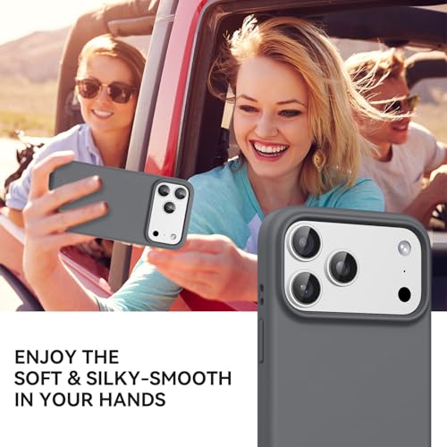 GUAGUA Compatible with iPhone 17 Pro Max Case 6.9 Inch Liquid Silicone Soft Slim Thin Microfiber Lining Cushion Texture Cover Shockproof Protective Phone Case for iPhone 17 Pro Max, Natural Titanium - color: Natural Titanium, size: iPhone 17 Pro Max